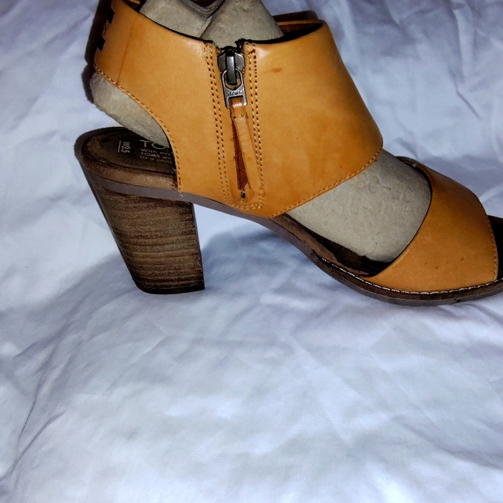 Toms